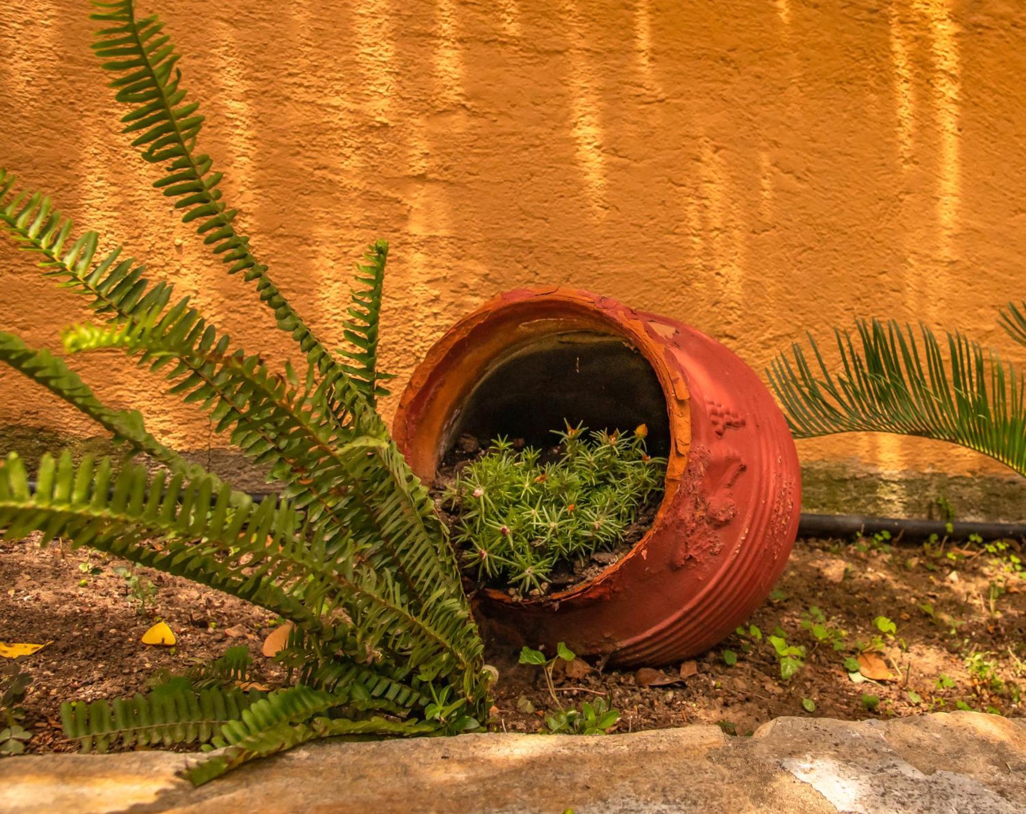 Vila La Casa De Vacation Lafkos Exteriér fotografie
