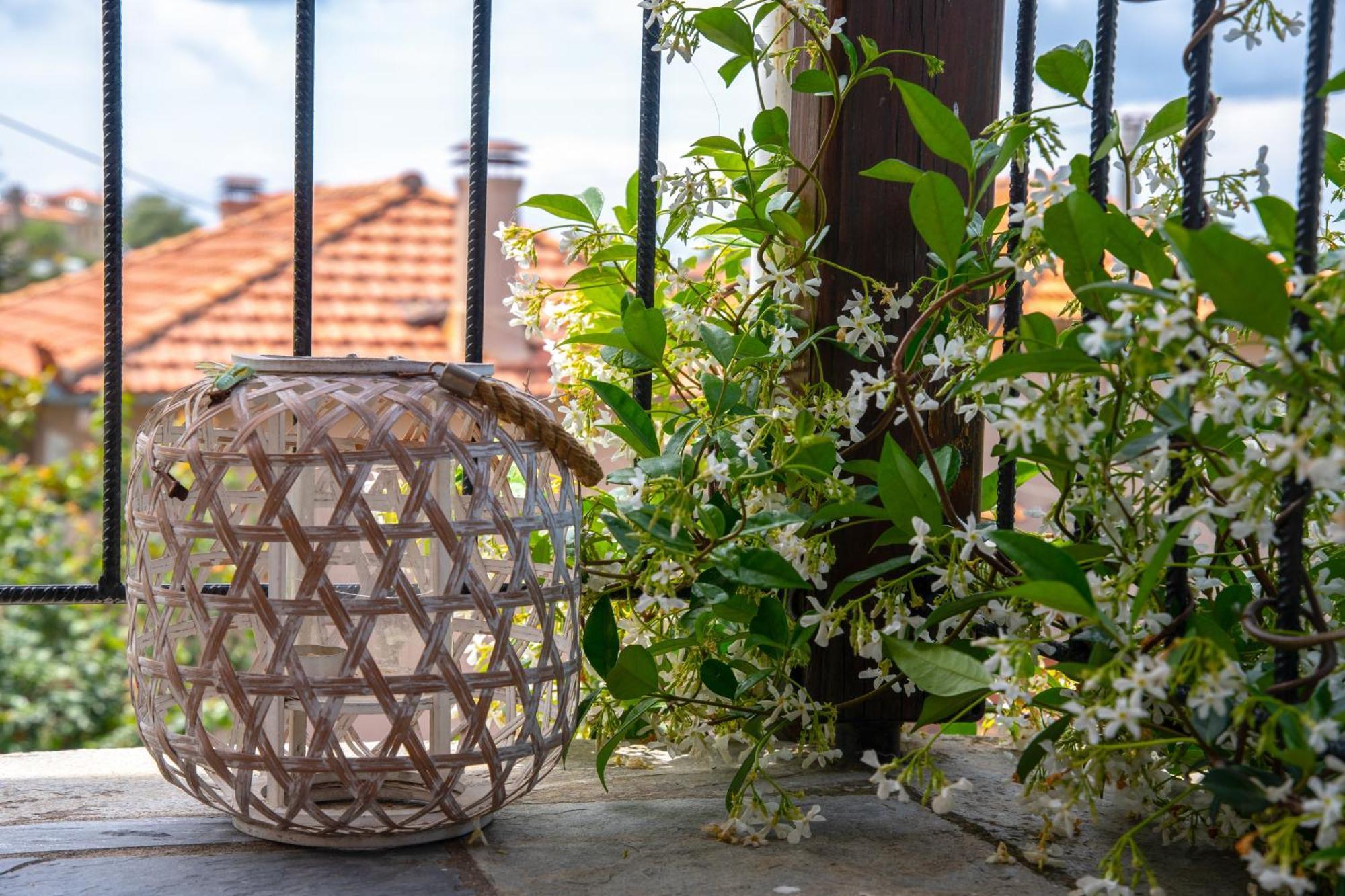Vila La Casa De Vacation Lafkos Exteriér fotografie